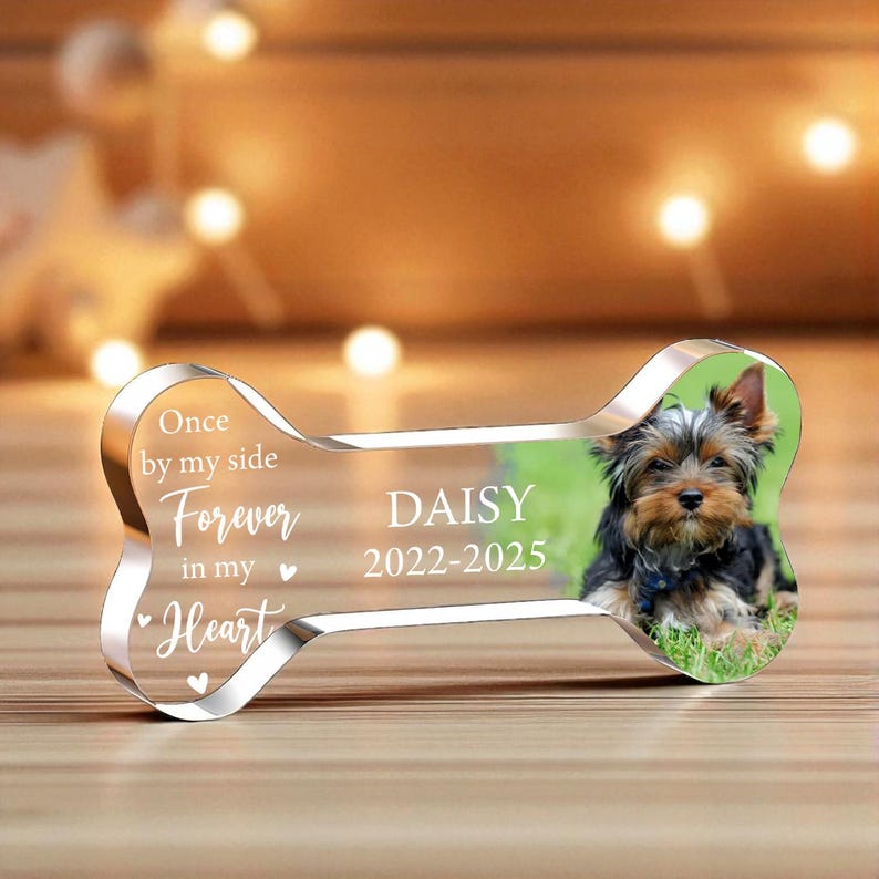 May include: A clear acrylic dog bone-shaped memorial with a photo of a Yorkshire Terrier. The bone has the words "Once by my side, Forever in my Heart" and the name "DAISY 2022-2025" engraved on it.