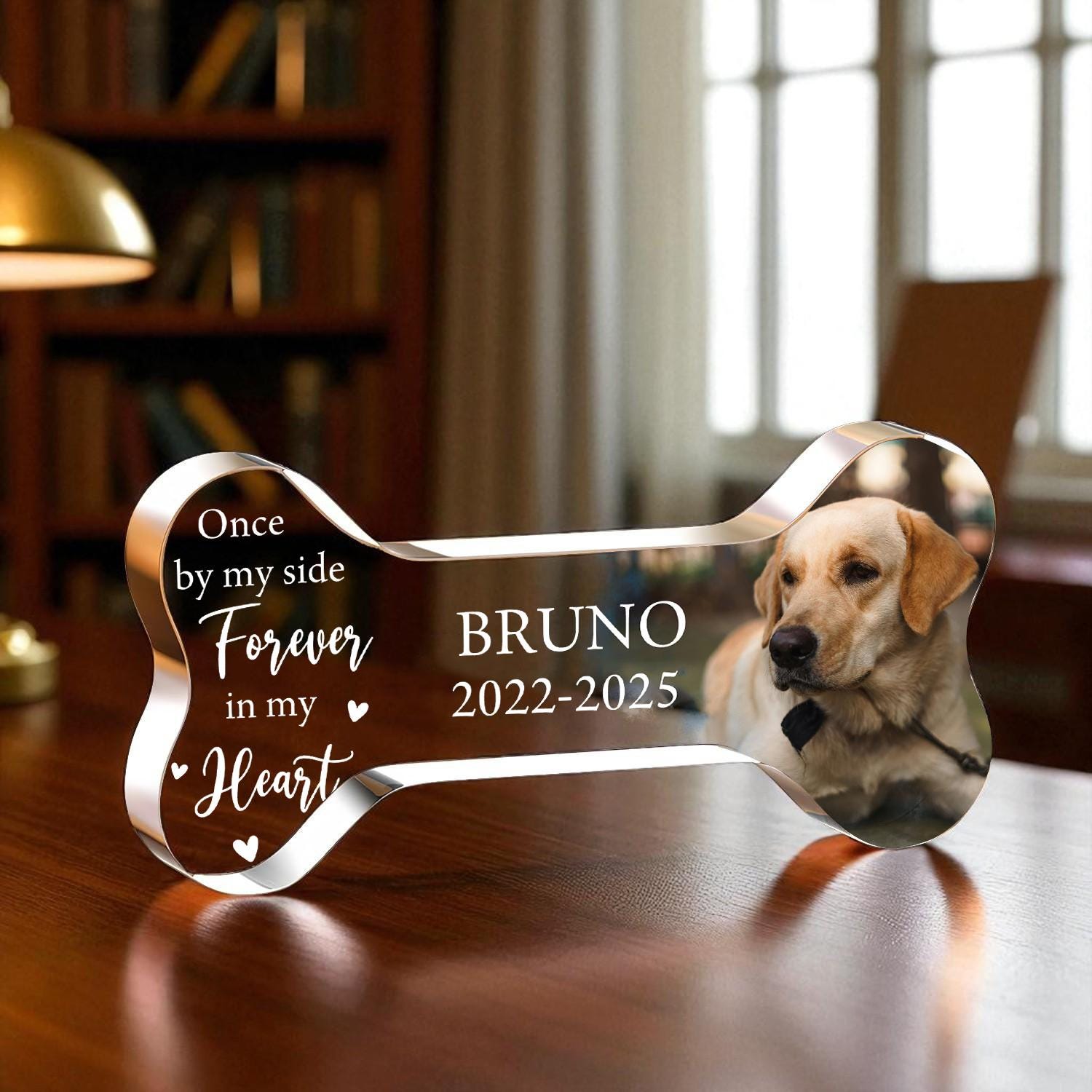 Animali domestici affacciati - Targa per porta personalizzata – Pet Printed IT