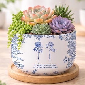 Könnte beinhalten: Ein weißer Keramik-Blumentopf mit blauem Blumendesign, gefüllt mit Sukkulenten in Grün, Rosa und Lila. Der Topf steht auf einem Holztablett und trägt den Text "IT TAKES A LONG TIME TO GROW AN OLD FRIEND."