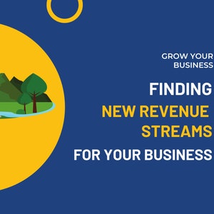 Business Planner / Growth Strategy / Finding New Revenue Streams for your Business