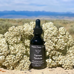 Yarrow Tincture | 2oz | Achillea Millefolium | Wild Harvested Yarrow