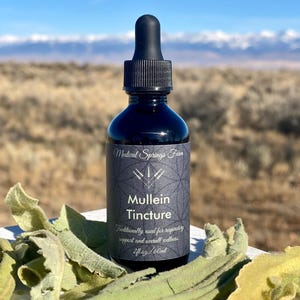 Mullein Tincture | 2oz | Wild Harvested Mullein