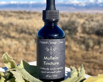 Mullein Tincture | 2oz | Wild Harvested Mullein