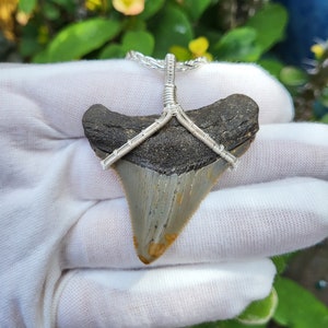 Fossil Megalodon Shark Tooth Sterling Silver Pendant