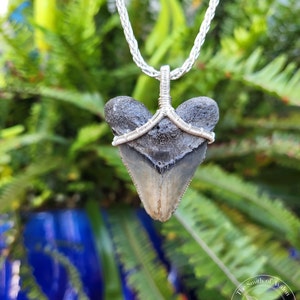 Fossil Megalodon Shark Tooth Sterling Silver Pendant