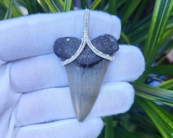 Mako Shark Fossil Tooth Sterling Silver Pendant