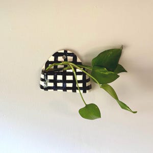 May include: A black and white checkered ceramic wall planter with a curved top, holding a green leafy plant. The planter is mounted on a white wall, showcasing a modern, minimalist design for indoor greenery.