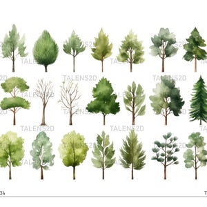 Clipart di alberi ad acquerello / Clipart di alberi dipinti / Grafica PNG / Download immediato per uso commerciale