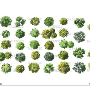 May include: An overhead view illustration of various green trees. The image features a collection of diverse tree types, each rendered with detailed foliage and varying shades of green. The text "Tree 11-01-64" and "TALENS2D" are visible.