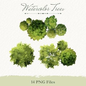Alberi clipart ad acquerello PNG, simboli di alberi con vista dall'alto arrotondata per progetti paesaggistici, architettura e design del giardino.