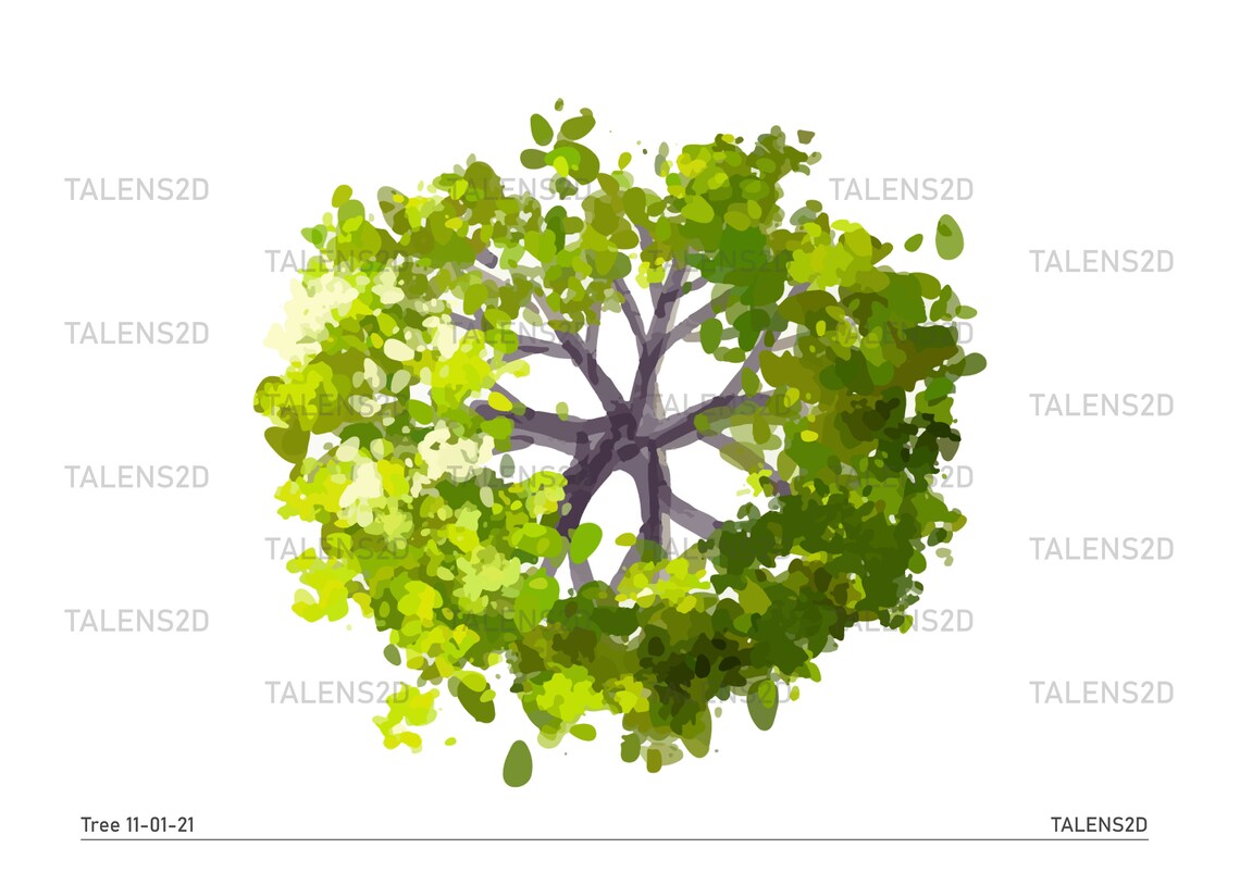 Tree Top View, 2D Landscape Clipart in PNG - Etsy