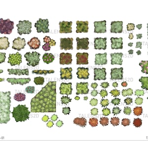 Vista superior de una planta, clipart de paisaje 2D en formato PNG