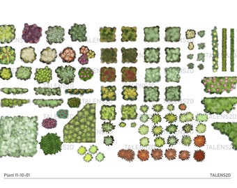 Plant top view, 2D landscape clipart in PNG