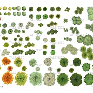 Vista superior de plantas, plantas de paisaje, símbolos de plantas pintadas a mano para arquitectura paisajística
