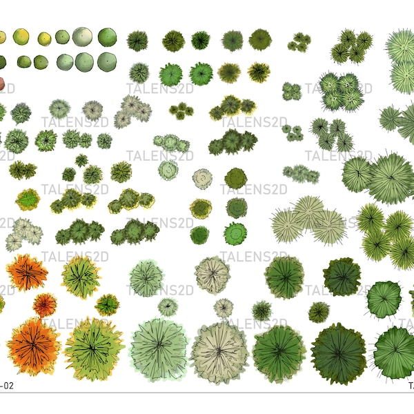 Vue de dessus de plante, plantes paysagères, symboles de plantes peintes à la main pour l'architecture de paysage