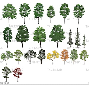 Watercolor Trees Clipart | Painted Tree Clipart | PNG Graphics | Instant Download for Commercial Use