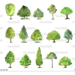 Clipart di alberi ad acquerello / Clipart di alberi dipinti / Grafica PNG / Download immediato per uso commerciale