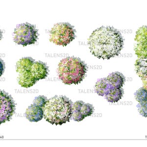 May include: Top view of a collection of 11 different trees with various shades of pink, white, green, and blue flowers. The trees are arranged in a random pattern on a white background.