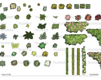 Plant top view, 2D landscape clipart in PNG
