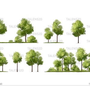 Pode incluir: Uma ilustração digital de vários tipos de árvores, incluindo árvores individuais e um grupo de árvores. As árvores são desenhadas em estilo aquarela com folhagem verde.