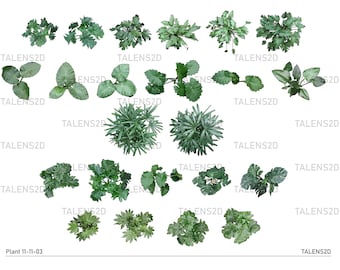 Landscape Plant Top View Symbols: Architecture Garden Design (PNG Files)