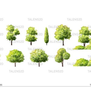 Watercolor Trees Clipart | Painted Tree Clipart | PNG Graphics | Instant Download for Commercial Use