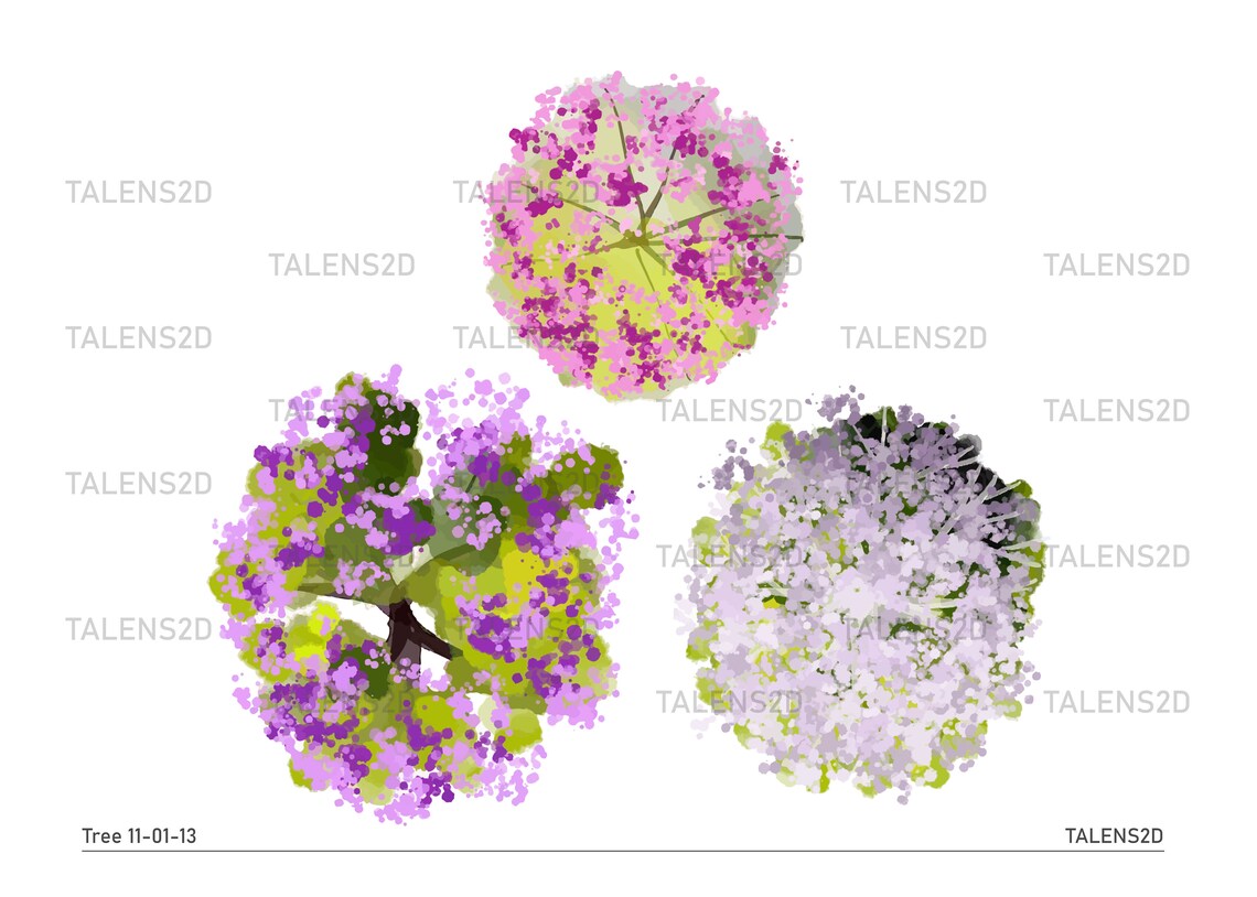 Tree Top View 2D Landscape Clipart in PNG - Etsy