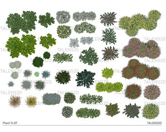 Plant top view, 2D landscape clipart in PNG