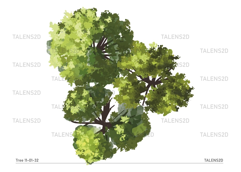 Tree Top View, 2D Landscape Clipart in PNG - Etsy