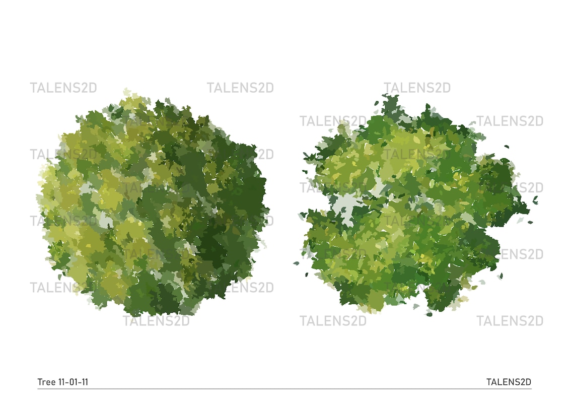 Tree Top View, 2D Landscape Clipart in PNG - Etsy