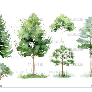 Clipart di alberi ad acquerello / Clipart di alberi dipinti / Grafica PNG / Download immediato per uso commerciale