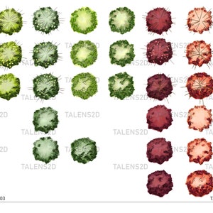 May include: A digital illustration of a tree in various stages of growth, from a small sapling to a mature tree with a full canopy. The tree is depicted in shades of green, red, and brown.