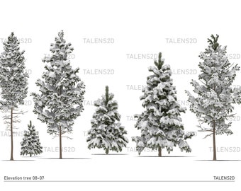 May include: A collection of six evergreen trees covered in snow, ranging in size from small to tall. The trees have green needles and brown trunks, with a heavy layer of white snow on their branches. The text "Elevation tree 08-07" and "TALENS2D" are visible.