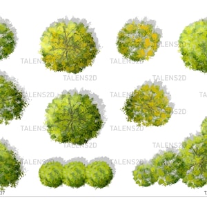 Vista dall'alto dell'albero, clipart del paesaggio 2D in PNG