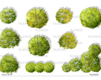 May include: Top view of various green trees with different shapes and sizes. The trees are painted in a watercolor style on a white background. The text "Tree 11-01-37" is at the bottom of the image.