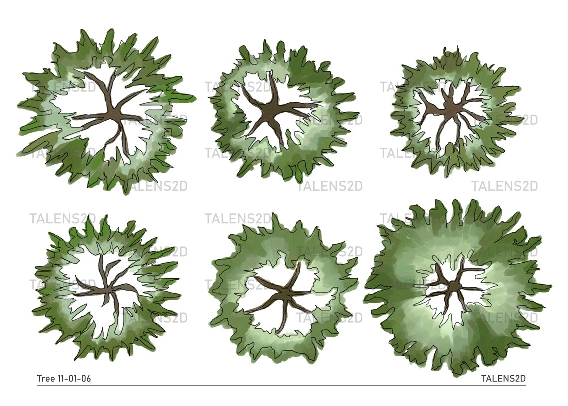 Tree Top View 2D Landscape Clipart in PNG - Etsy