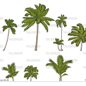 Watercolor Trees Clipart | Painted Tree Clipart | PNG Graphics | Instant Download for Commercial Use
