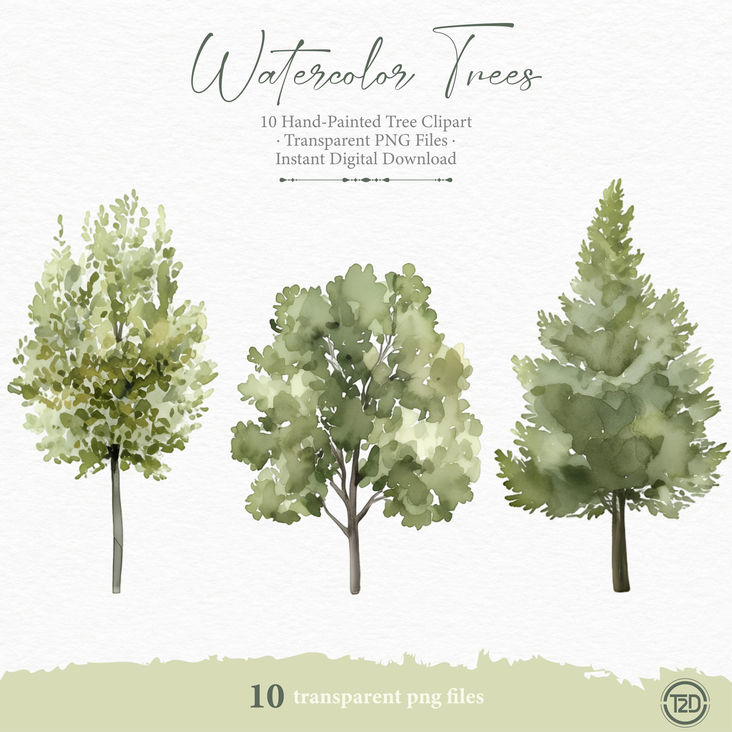 10 Watercolor Tree Pngs, Hand-painted Forest and Pine Clipart for