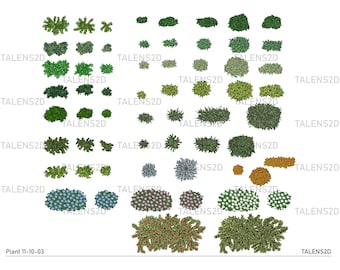 Plant top view, 2D landscape clipart in PNG