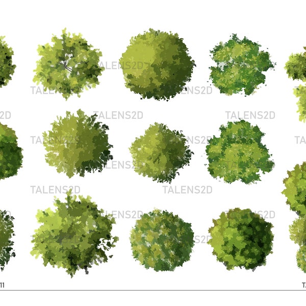 Vista superior del árbol, imágenes prediseñadas de paisaje 2D en PNG