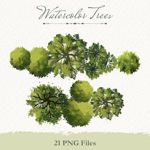Floor Plan Trees PNG, Top View Green Tree Clipart for Landscape Architecture & Garden Design
