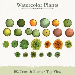 Floor Plan Plants PNG, 102 Hand Painted Top View Trees, Watercolor Tree Clipart for Landscape Design, Site Plan and House Plan