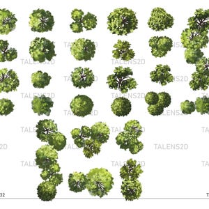 Vista superior del árbol, clipart de paisaje 2D en formato PNG