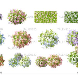 May include: Top view of a variety of trees with different colored leaves. The trees are in a variety of shapes and sizes. The leaves are green, pink, blue, and purple.