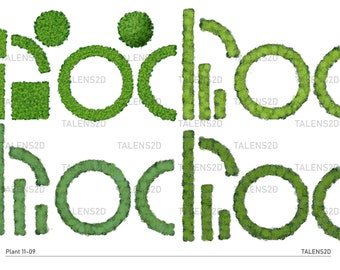 Plant top view, 2D landscape clipart in PNG