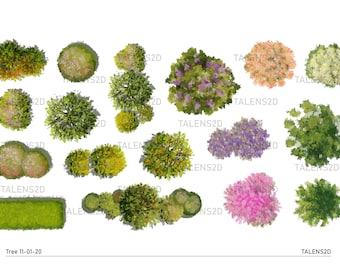 May include: Top view of various trees and shrubs, including green, yellow, pink, and purple foliage. The image is labelled "Tree 11-01-20" and "TALENS2D".