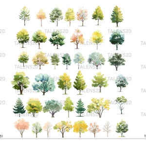Clipart di alberi ad acquerello / Clipart di alberi dipinti / Grafica PNG / Download immediato per uso commerciale
