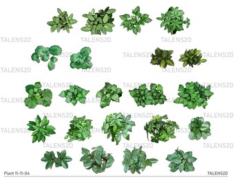 Landscape Plant Top View Symbols: Garden Design (PNG Files)