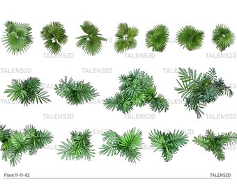 Landscape Plant Top View PNG: Garden Design Graphics (Digital Download)
