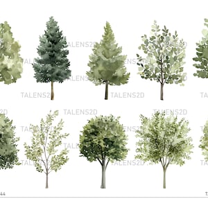 Clipart aquarel bomen | Geschilderde boomclipart | PNG-afbeeldingen | Directe download voor commercieel gebruik